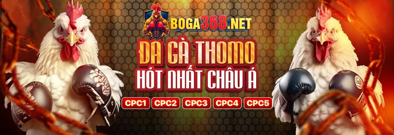 Người chơi may mắn ăn mừng chiến thắng tại sòng bạc trực tuyến f1684 vip